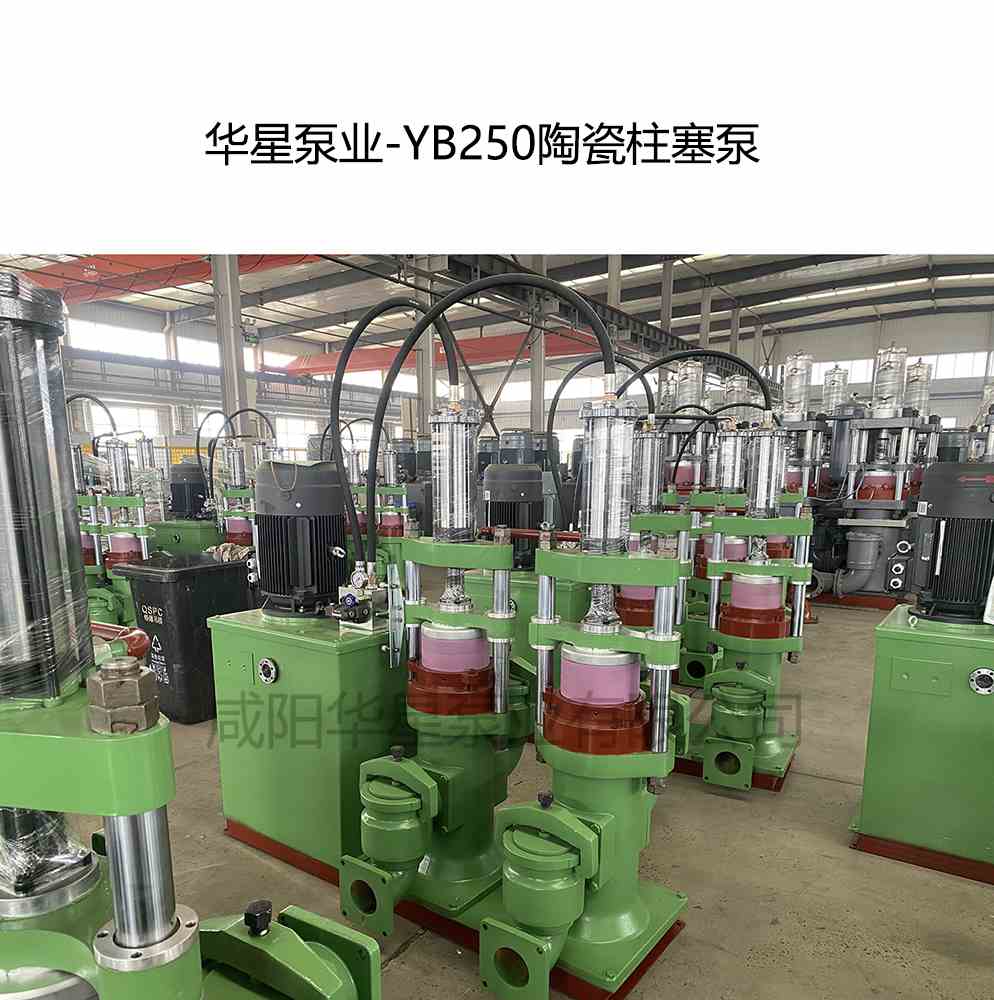 客戶給訂購一臺YB250陶瓷柱塞泵
