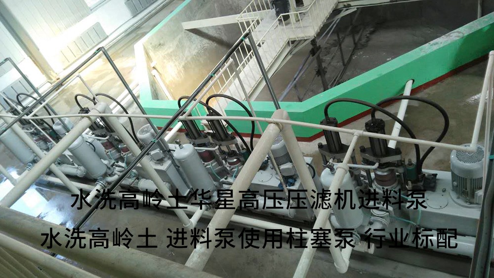 水洗高嶺土高壓壓濾機進(jìn)料泵3